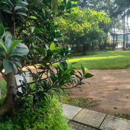 Shashin Lake Resort Dambulla Exterior foto